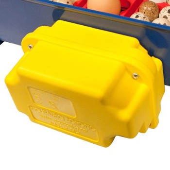 Volteador de huevos Incubadora Real Borotto
