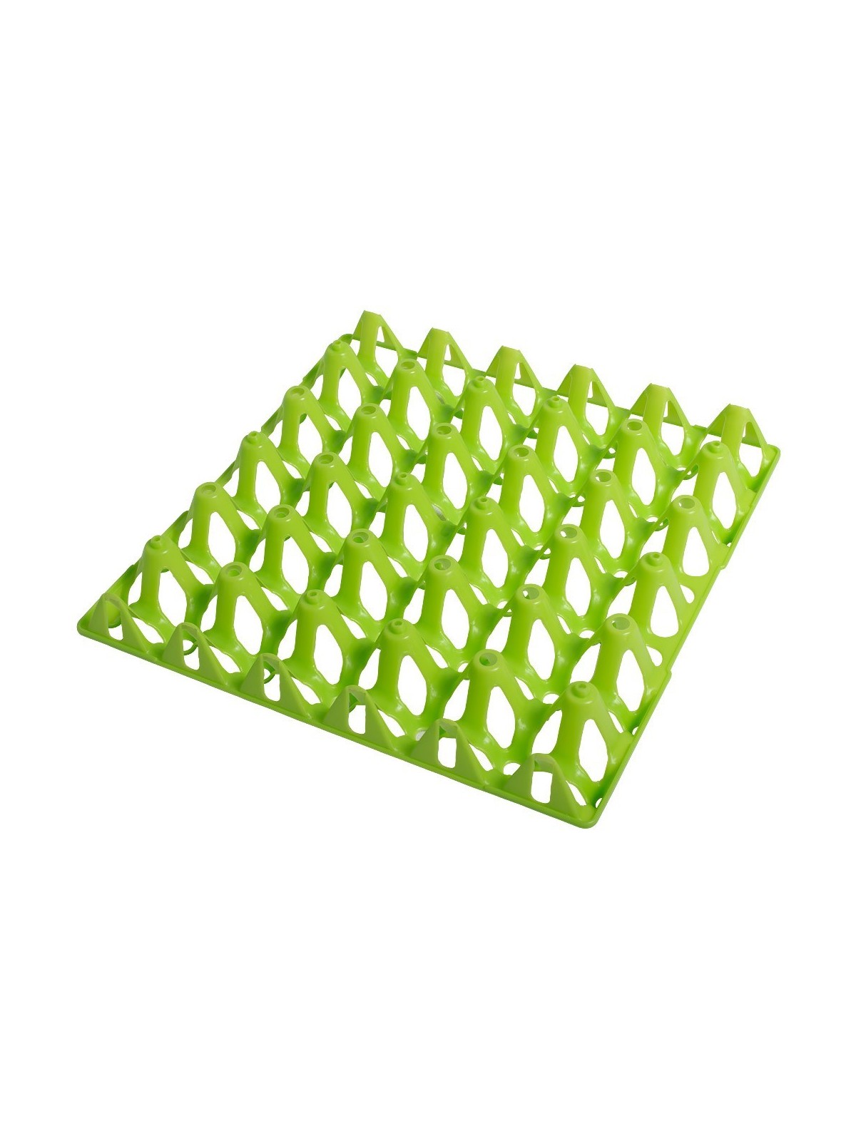Huevera verde para 30 huevos
