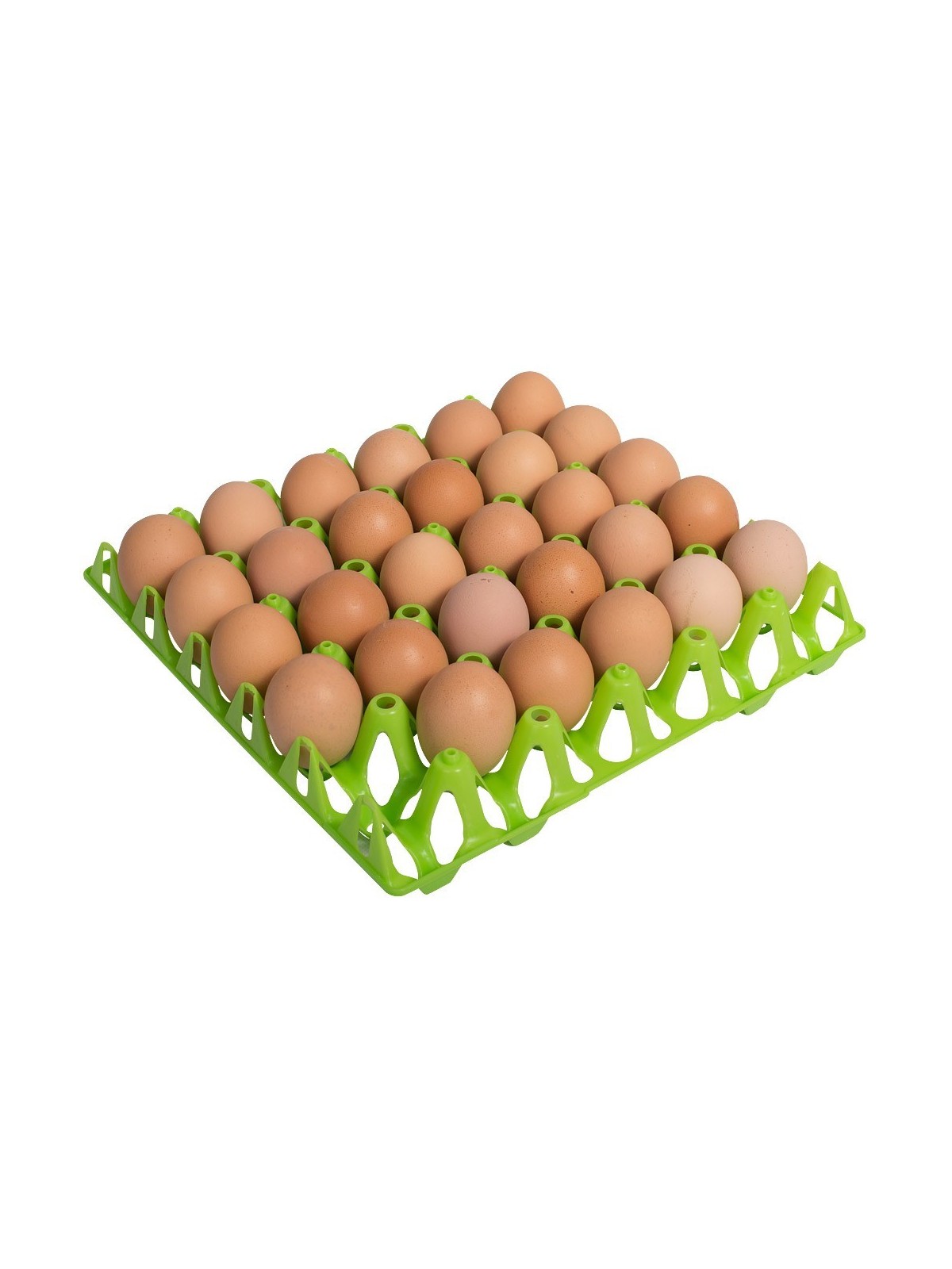 Huevera verde para 30 huevos