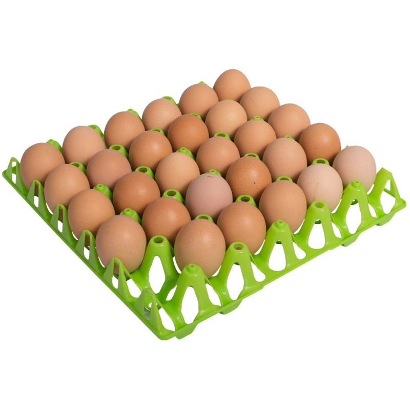 Paletizado a granel de hueveras de plástico de 30 huevos