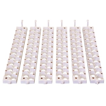 Bandejas para codorniz