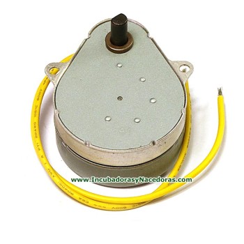 Motor Reductor  de volteo para Incubadora Octagon