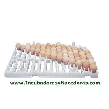 Bandeja porta-huevos serie astral para gallinas.