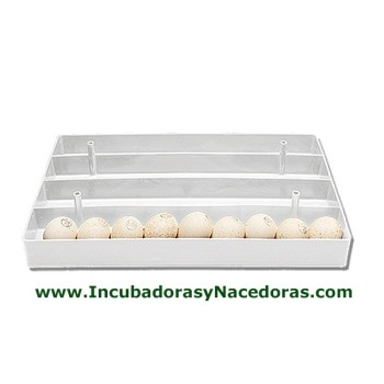 Bandeja porta-huevos serie astral para ocas.
