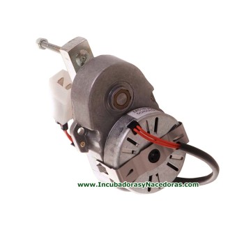 Motoreductor volteo incubadora Maino  Modelo 0