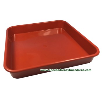 Bandeja humedad incubadoras 20