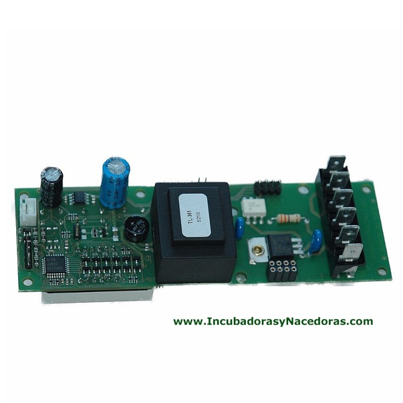 Termostato digital control de temperatura para incubadora  MXPT  para Pio-Pio, P105, P140