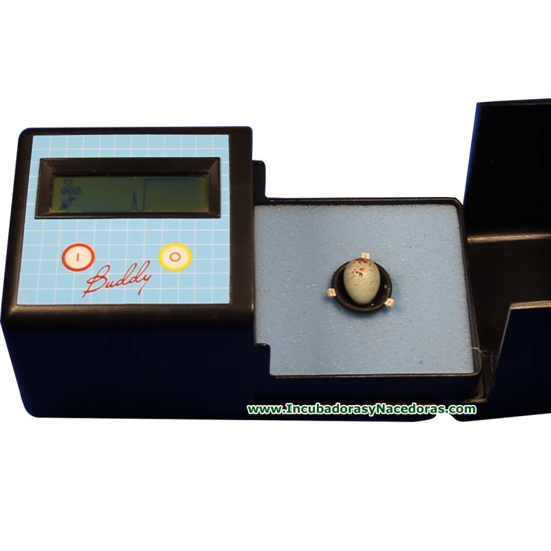 Monitor de huevos Buddy MK2 para loros