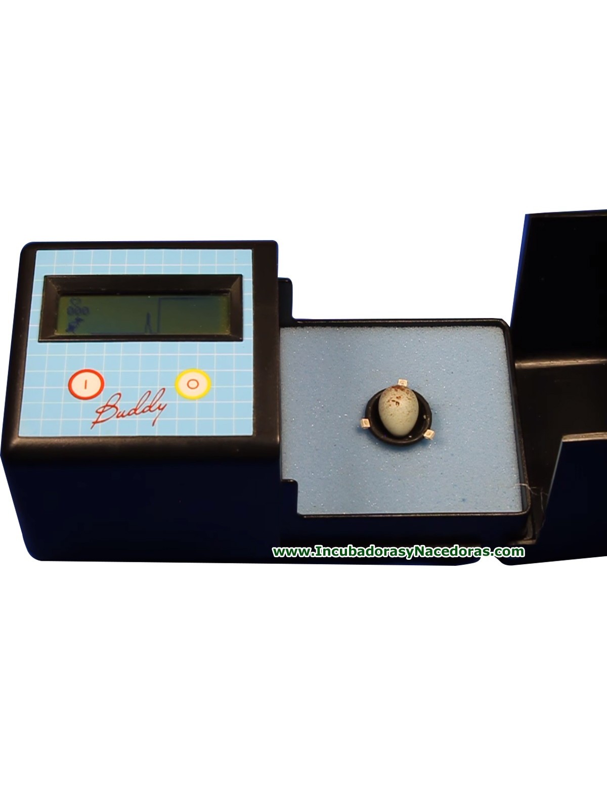 Monitor de huevos Buddy MK2 para loros