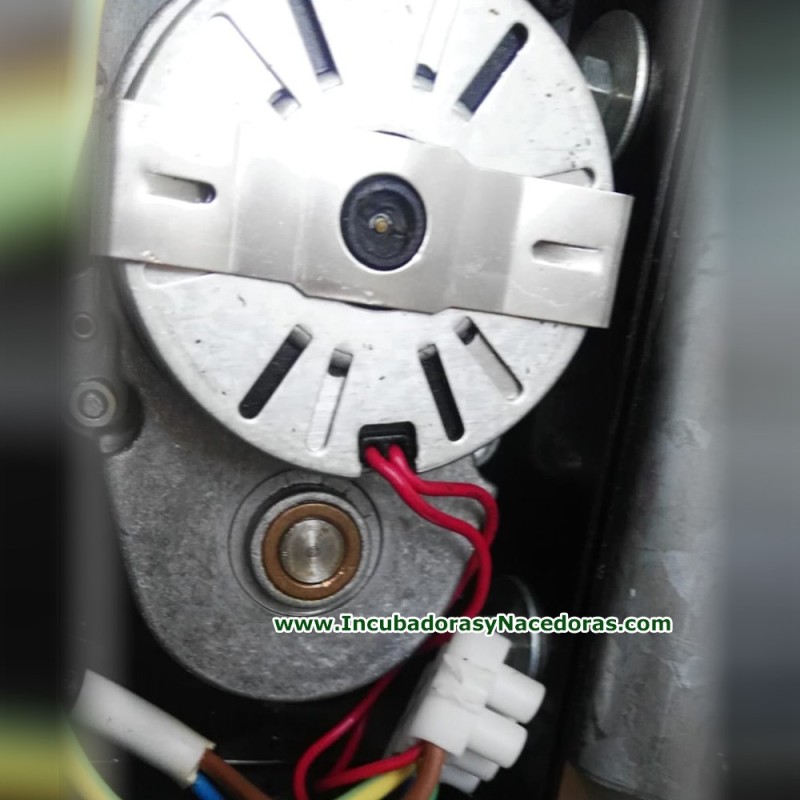 Motor volteo Masalles G60