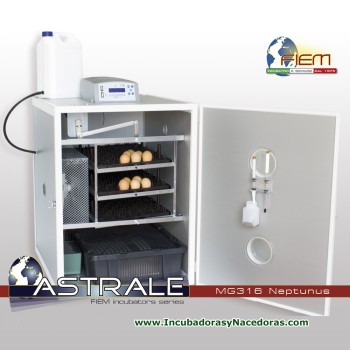Incubadora Fiem MG316 Neptunus