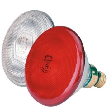 Lámpara 175w Phillips para pollitos
