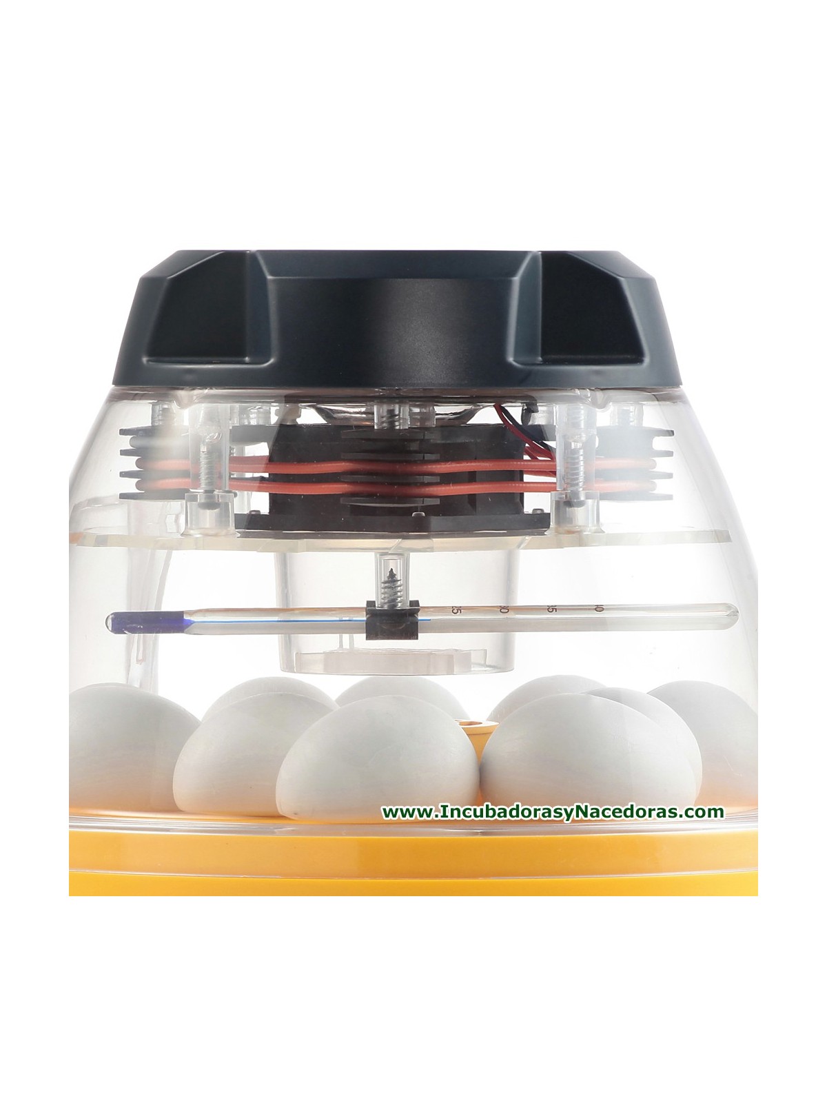 Incubadora Brinsea Mini II Eco termómetro