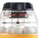 Incubadora Brinsea Mini II Eco termómetro