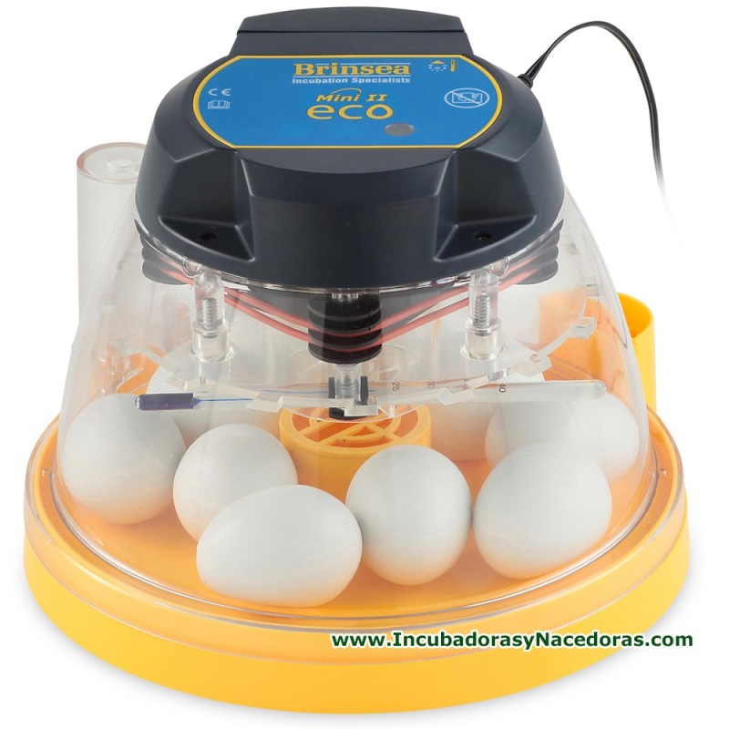 Incubadora Brinsea Mini II Eco gallinas