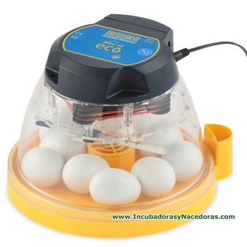 Incubadora Brinsea Mini II Eco codornices