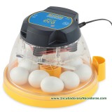 Incubadora Brinsea Mini II Eco codornices