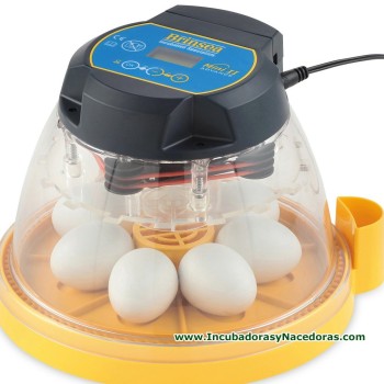 Incubadora Brinsea Mini II Advance  gallinas