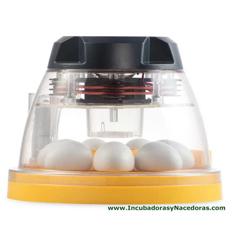 Incubadora Brinsea Mini II EX 7 huevos de pato