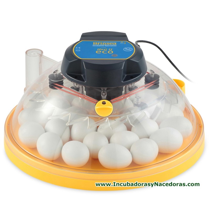 Incubadora Brinsea Maxi II Eco 14 huevos gallina