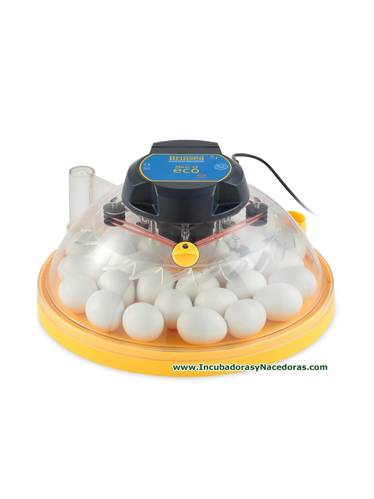 Incubadora Brinsea Maxi II Eco 14 huevos gallina