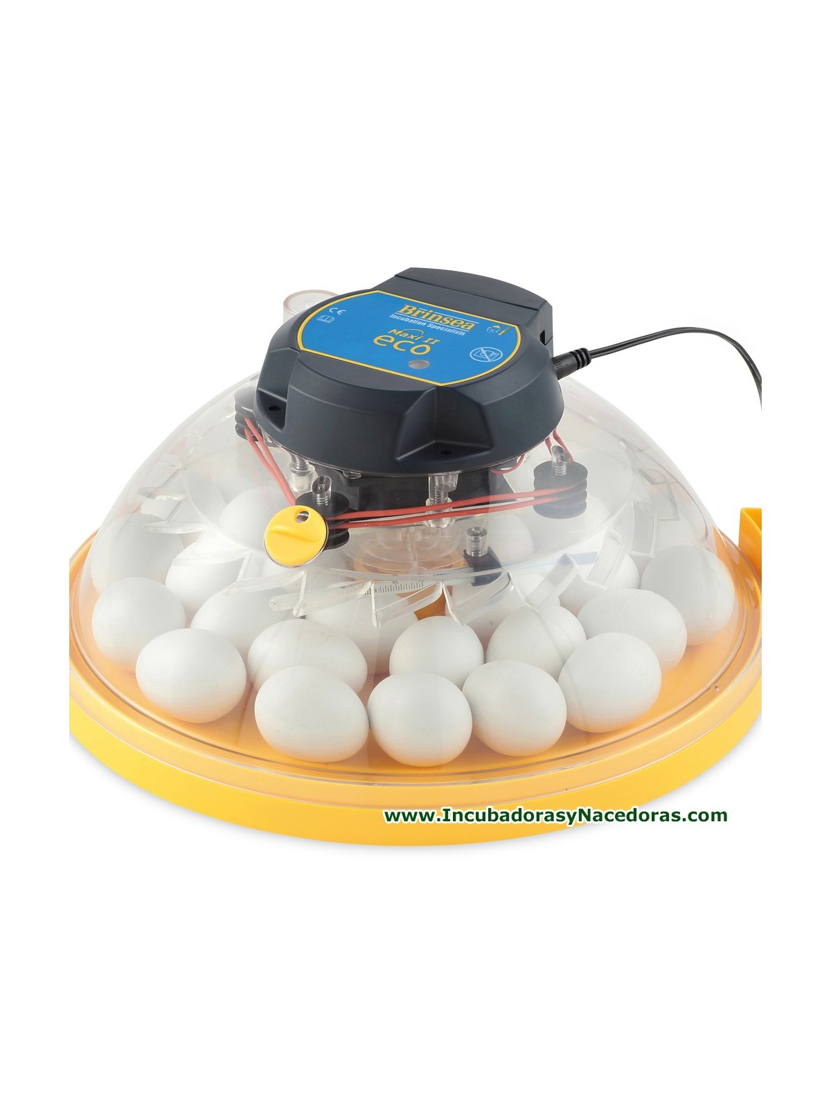Incubadora Brinsea Maxi II Eco 14 huevos pato