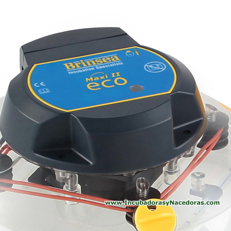 Incubadora Brinsea Maxi II Eco termostato analógico