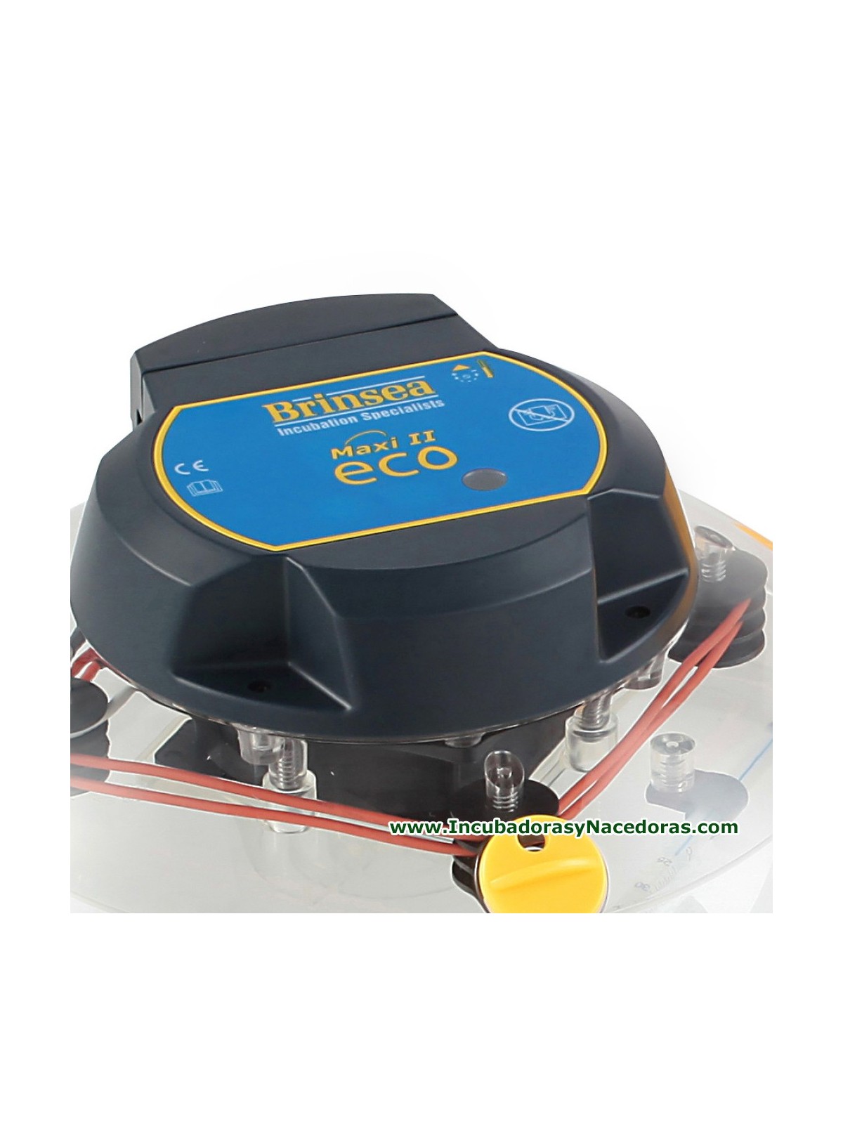 Incubadora Brinsea Maxi II Eco termostato analógico