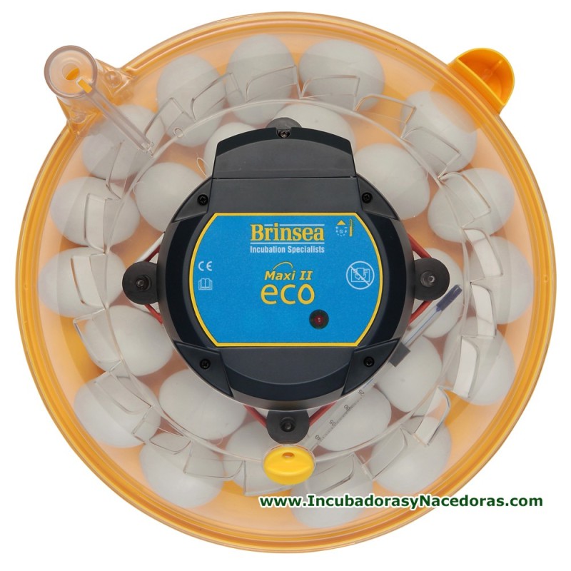 Incubadora Brinsea Maxi II Eco 40 huevos codorniz