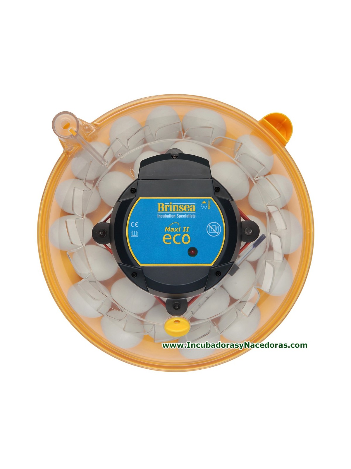 Incubadora Brinsea Maxi II Eco 40 huevos codorniz