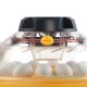 Incubadora Brinsea Maxi II Advance 40 huevos faisan