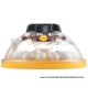 Incubadora Brinsea Maxi II EX 40 huevos de faisán
