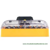 Incubadora Brinsea Ovation 56 Eco