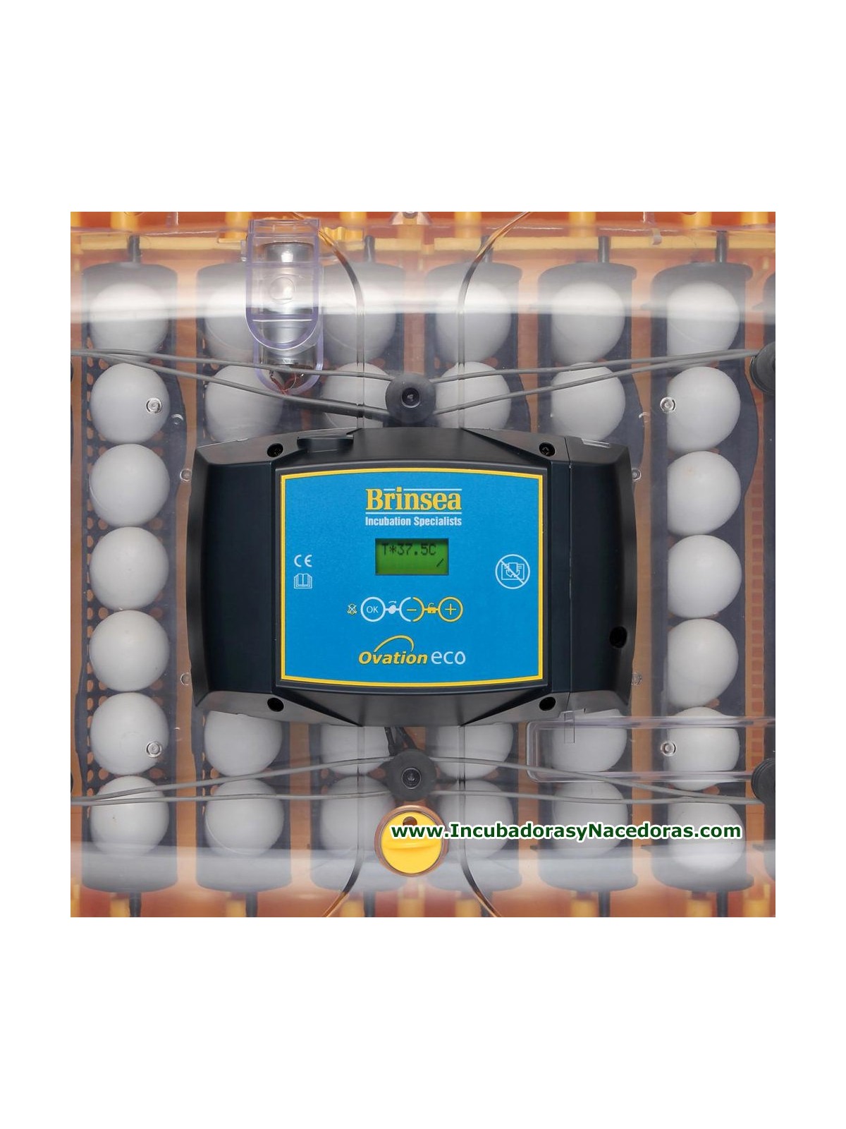 Incubadora Brinsea Ovation 56 Eco