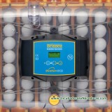 Incubadora Brinsea Ovation 56 Eco