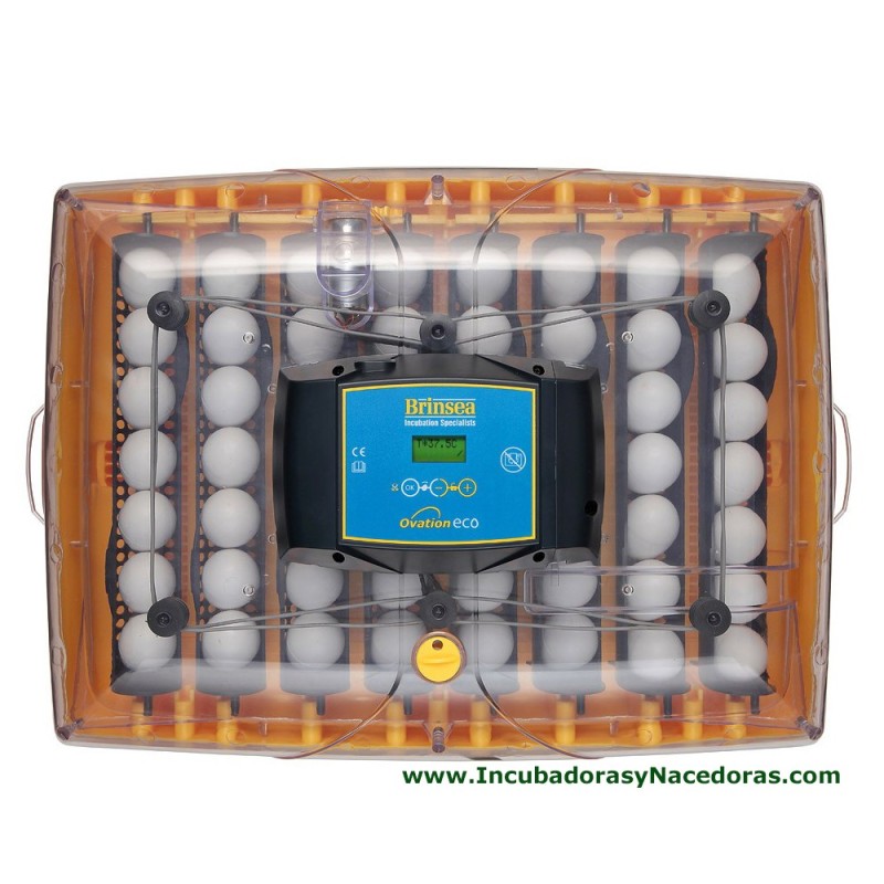 Incubadora Brinsea Ovation 56 Eco