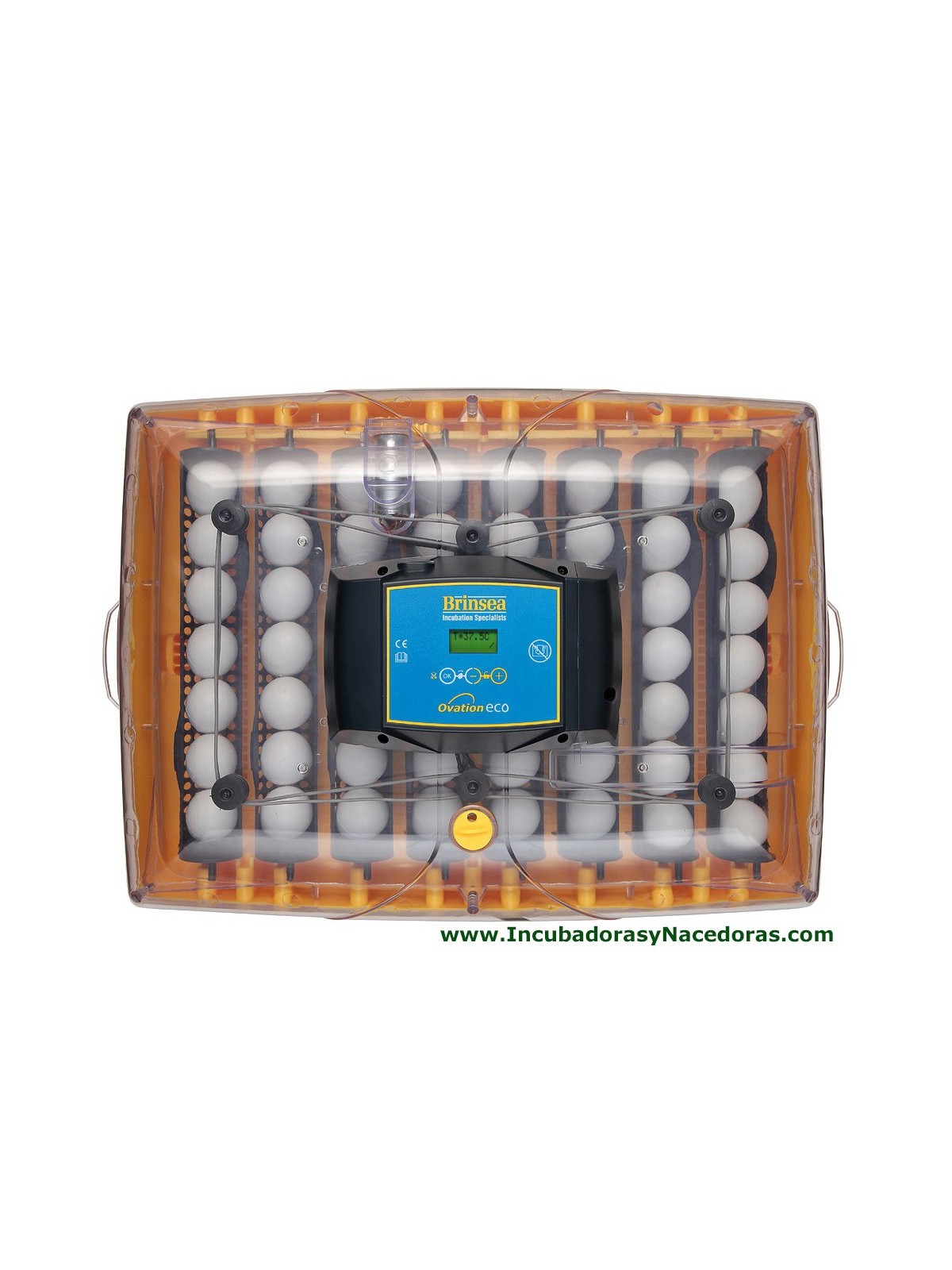 Incubadora Brinsea Ovation 56 Eco