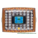 Incubadora Brinsea Ovation 56 Eco