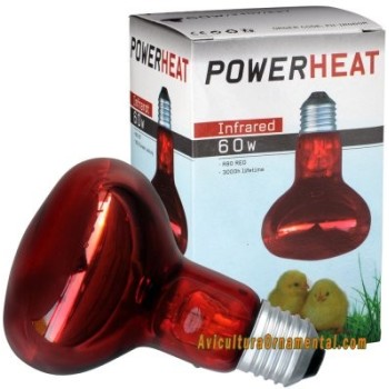 Bombilla infrarroja PowerHEAT para pollitos