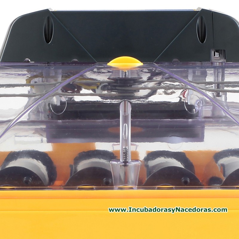 Incubadora Brinsea Ovation 56 Advance