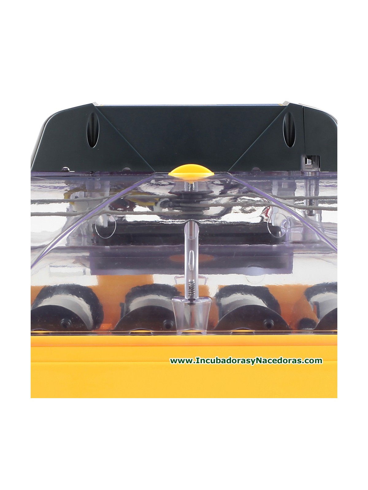 Incubadora Brinsea Ovation 56 Advance