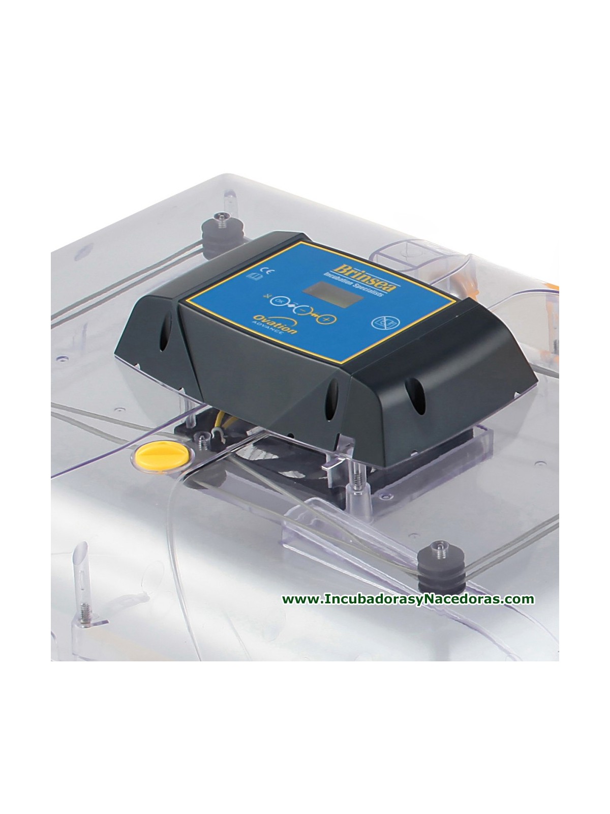 Incubadora Brinsea Ovation 56 Advance