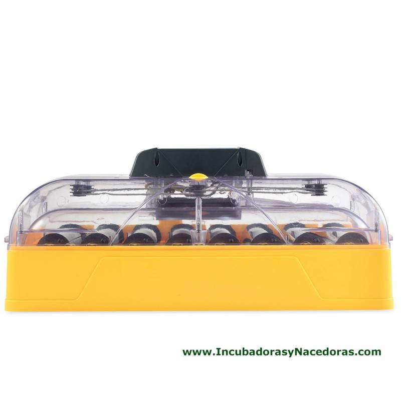 Incubadora Brinsea Ovation 56 Advance