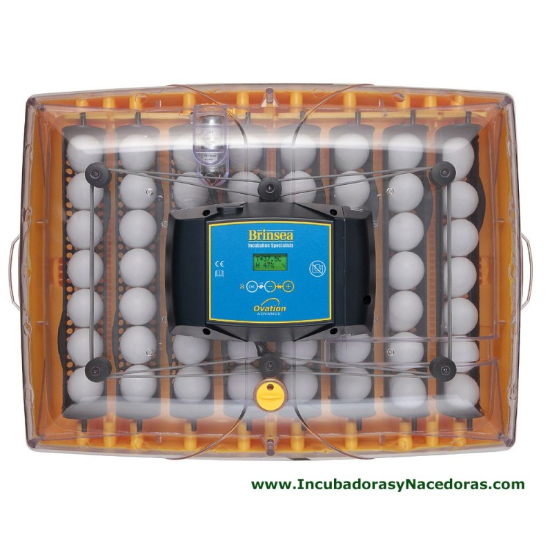 Incubadora Brinsea Ovation 56 Advance