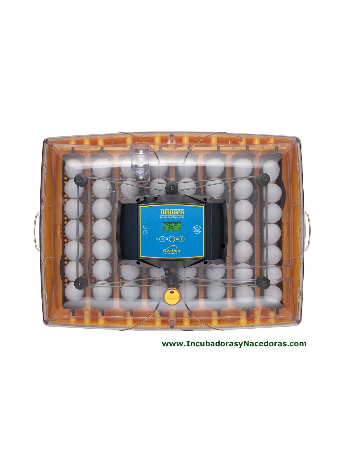 Incubadora Brinsea Ovation 56 Advance