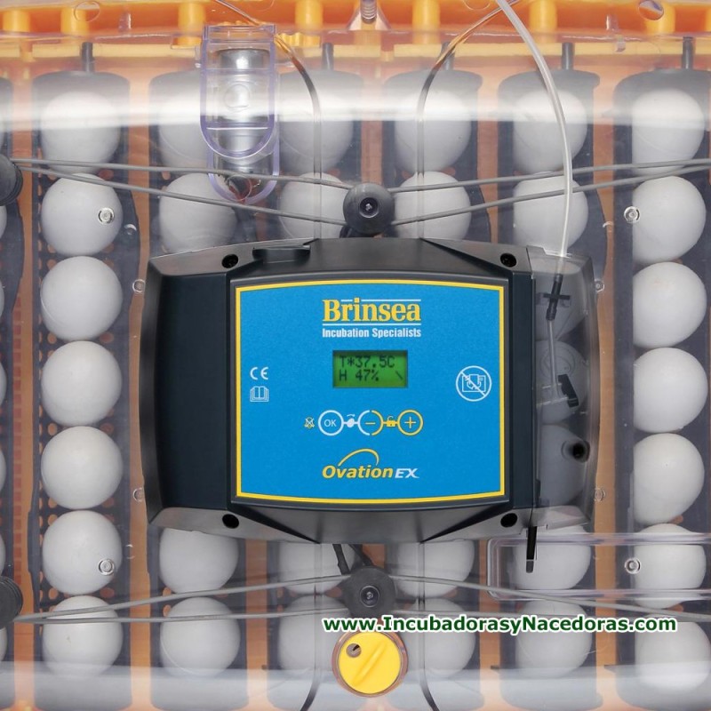 Incubadora Brinsea Ovation 56 EX