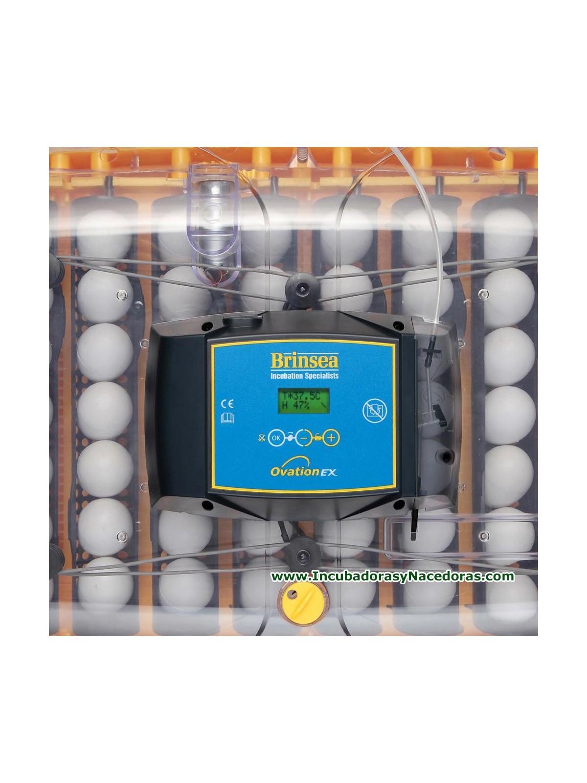 Incubadora Brinsea Ovation 56 EX