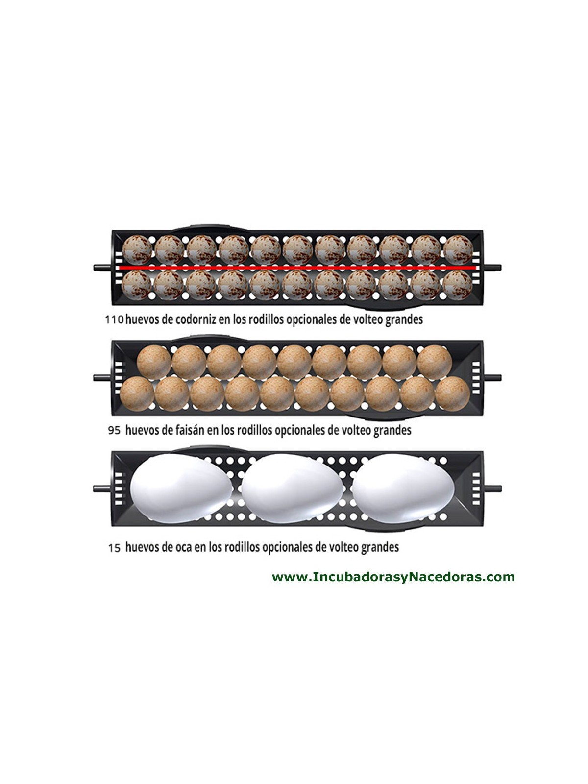 Incubadora Brinsea Ovation 56 EX