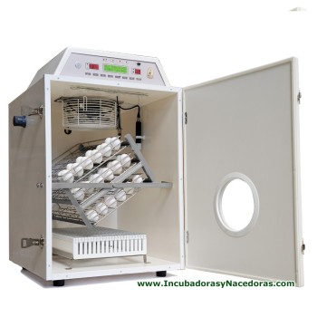 Incubadora con Nacedora Masalles Mod.25-C HLC