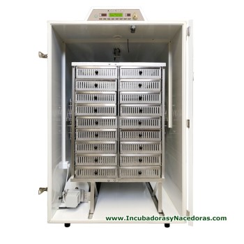 Nacedora Masalles Modelo 2600-N HLC